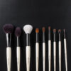 Essential 9-Piece Brush Set