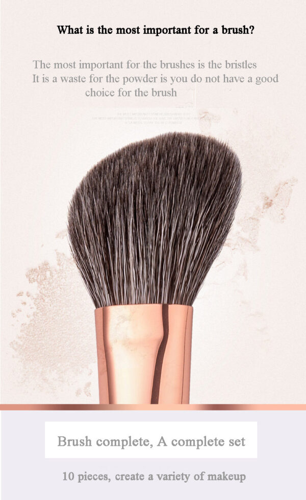 American Master 10-Piece Brush Set