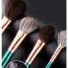American Master 10-Piece Brush Set
