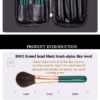 American Master 10-Piece Brush Set