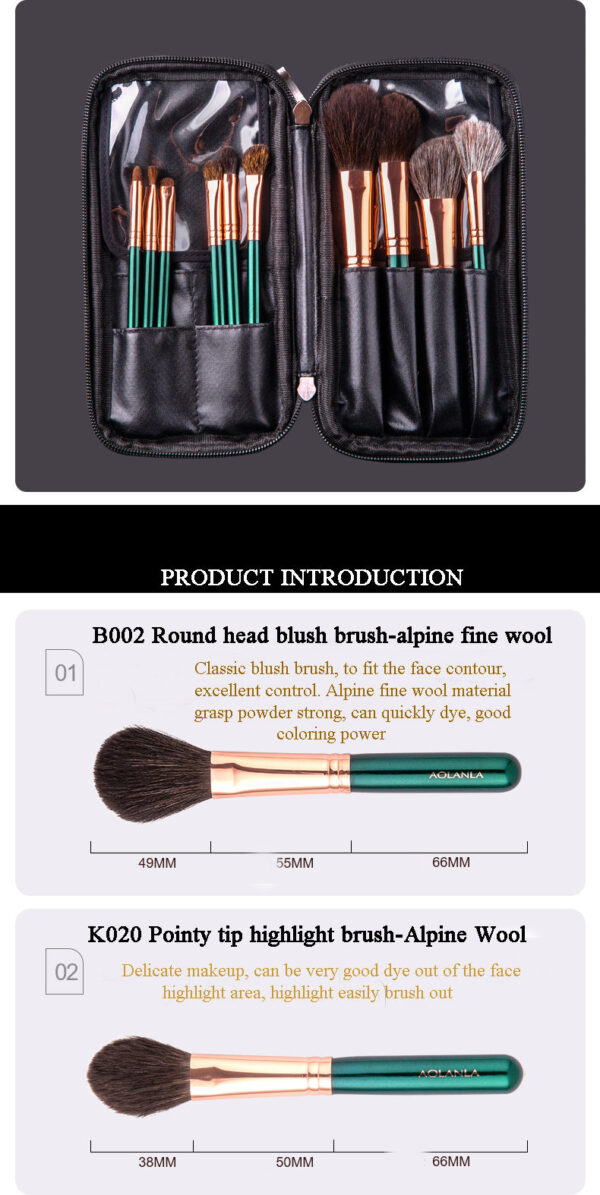 American Master 10-Piece Brush Set