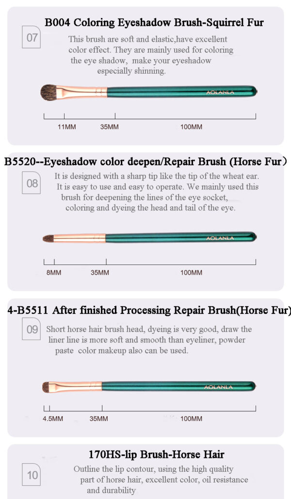 American Master 10-Piece Brush Set