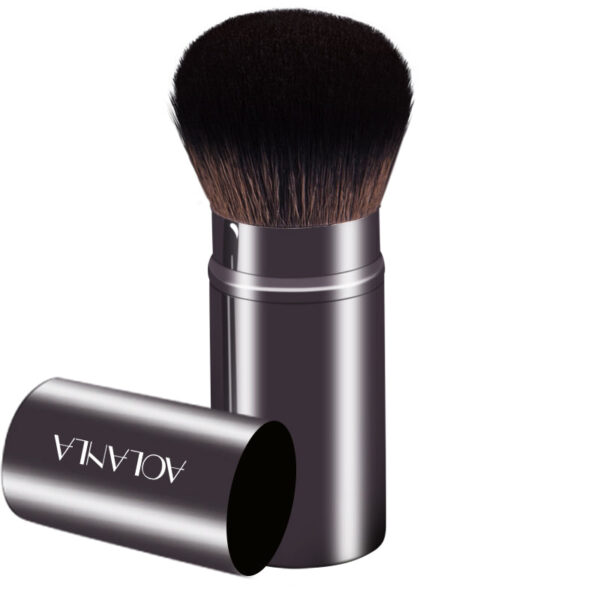 PNG_02bc5f3a-98c7-4f88-8fb5-36fec6be8122 Retractable Blush & Highlight Brush Set