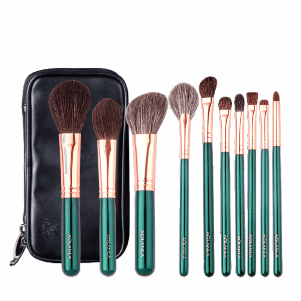 American Master 10-Piece Brush Set