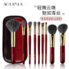 Vermilion Gold 9-Piece Brush Set