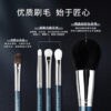 Pearlescent Blue 12-Piece Brush Set