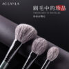 Peacock Blue 8-Piece Brush Set