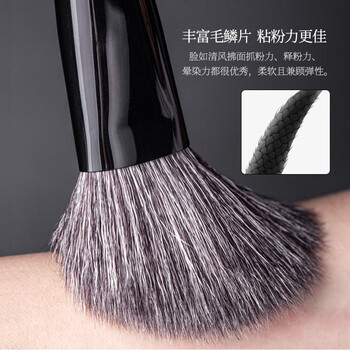 Peacock Blue 8-Piece Brush Set