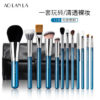 Pearlescent Blue 12-Piece Brush Set