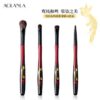 Phoenix 4-Piece Eye Brush Set
