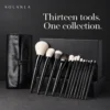 All thirteen Black13 brushes with the black storage roll and presentation shown