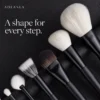 Distinct face and eye brush shapes in the AOLANLA Black13 collection
