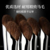 16 Sickle Nose Shadow Brush