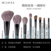 Peacock Blue 8-Piece Brush Set