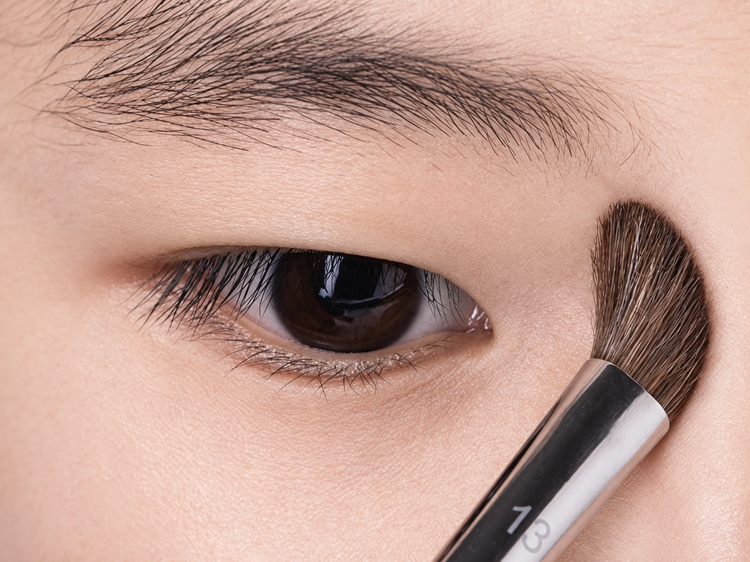 Actual No.13 angled brown brush placed beside the outer eye