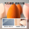 Beauty Sponge Trio with Holder