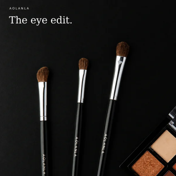Master eye brush edit with palette demonstration