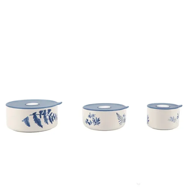 300ml,600ml,800ml ceramic food storage,insulated container