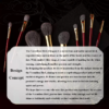 Vermilion Gold 9-Piece Brush Set