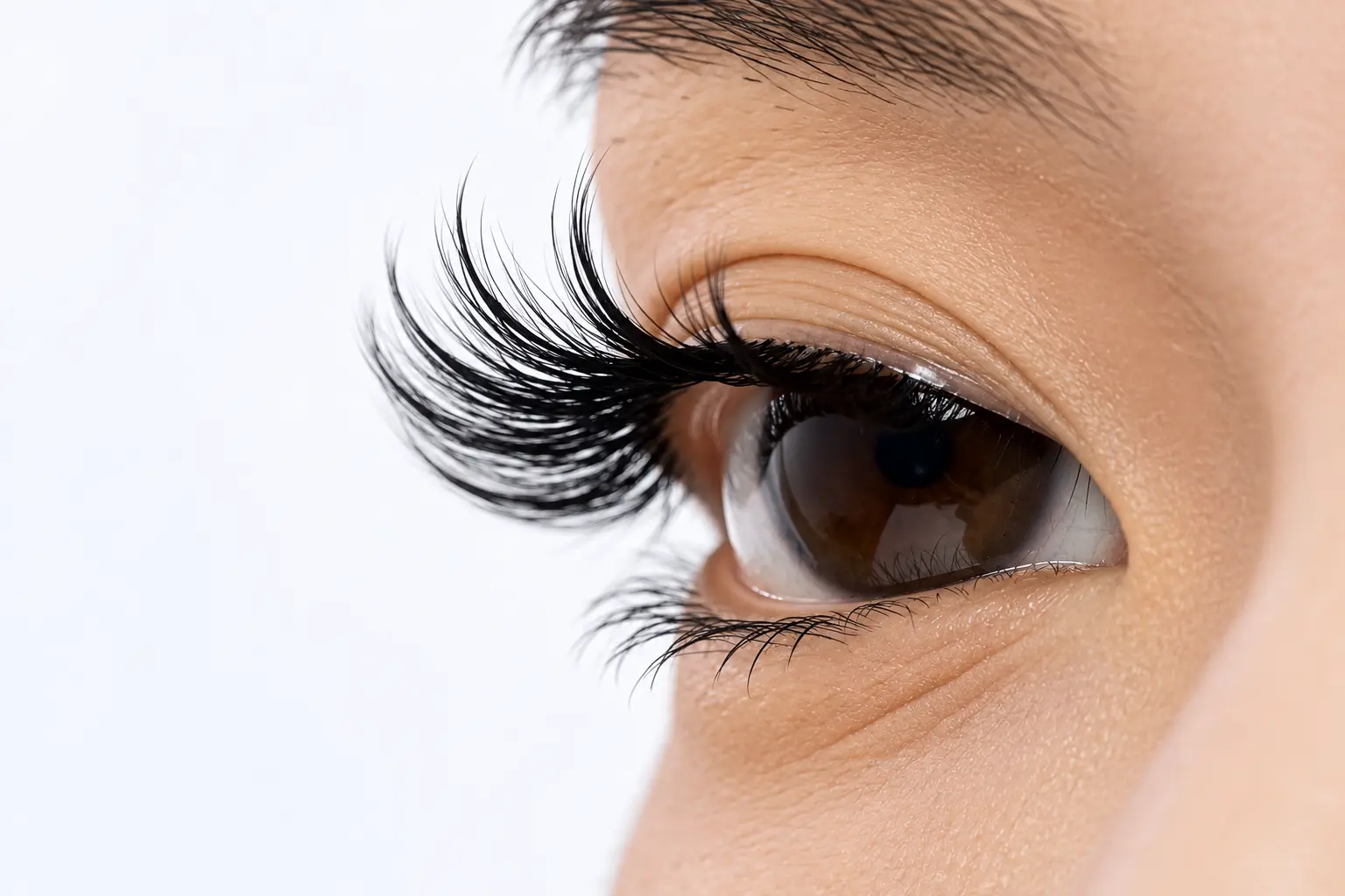 Side view of the sunflower lash clusters after application, showing a separated feathered curl