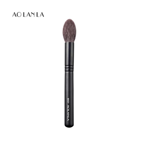 AOLANLA Pointed Highlight Brush B5521