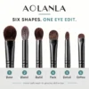 AOLANLA 6-Piece Eye Brush Set