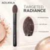 AOLANLA Pointed Highlight Brush B5521