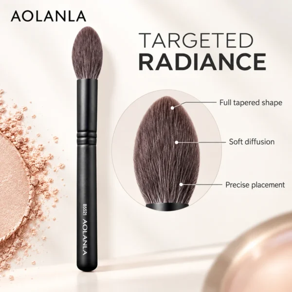 AOLANLA Pointed Highlight Brush B5521