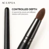 AOLANLA Deep Blend Eye Brush B5520