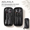 AOLANLA 6-Piece Eye Brush Set