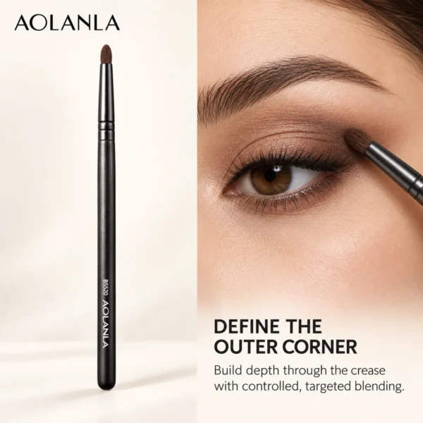 AOLANLA Deep Blend Eye Brush B5520
