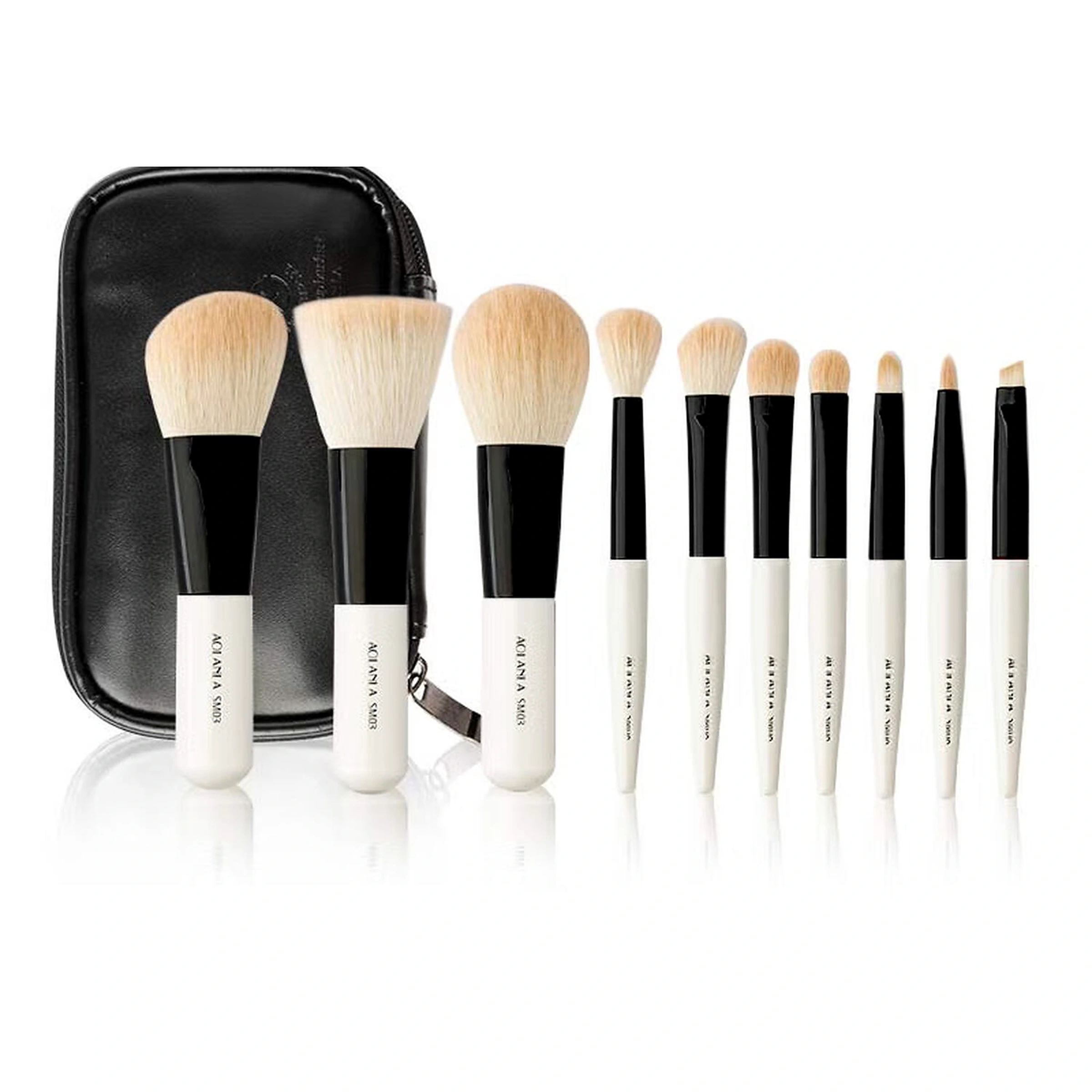 AOLANLA Mini 10-Piece brush set in Porcelain White with black travel pouch
