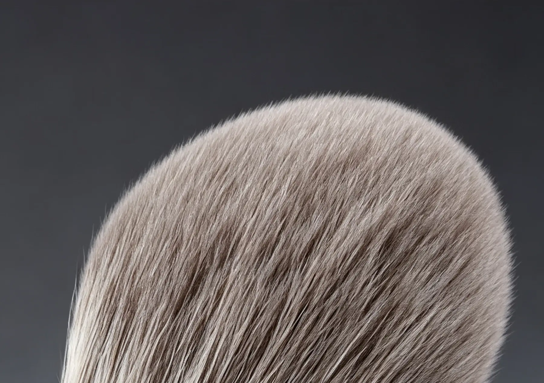 Macro view of the softly tapered grey Snow Fox powder brush fibres
