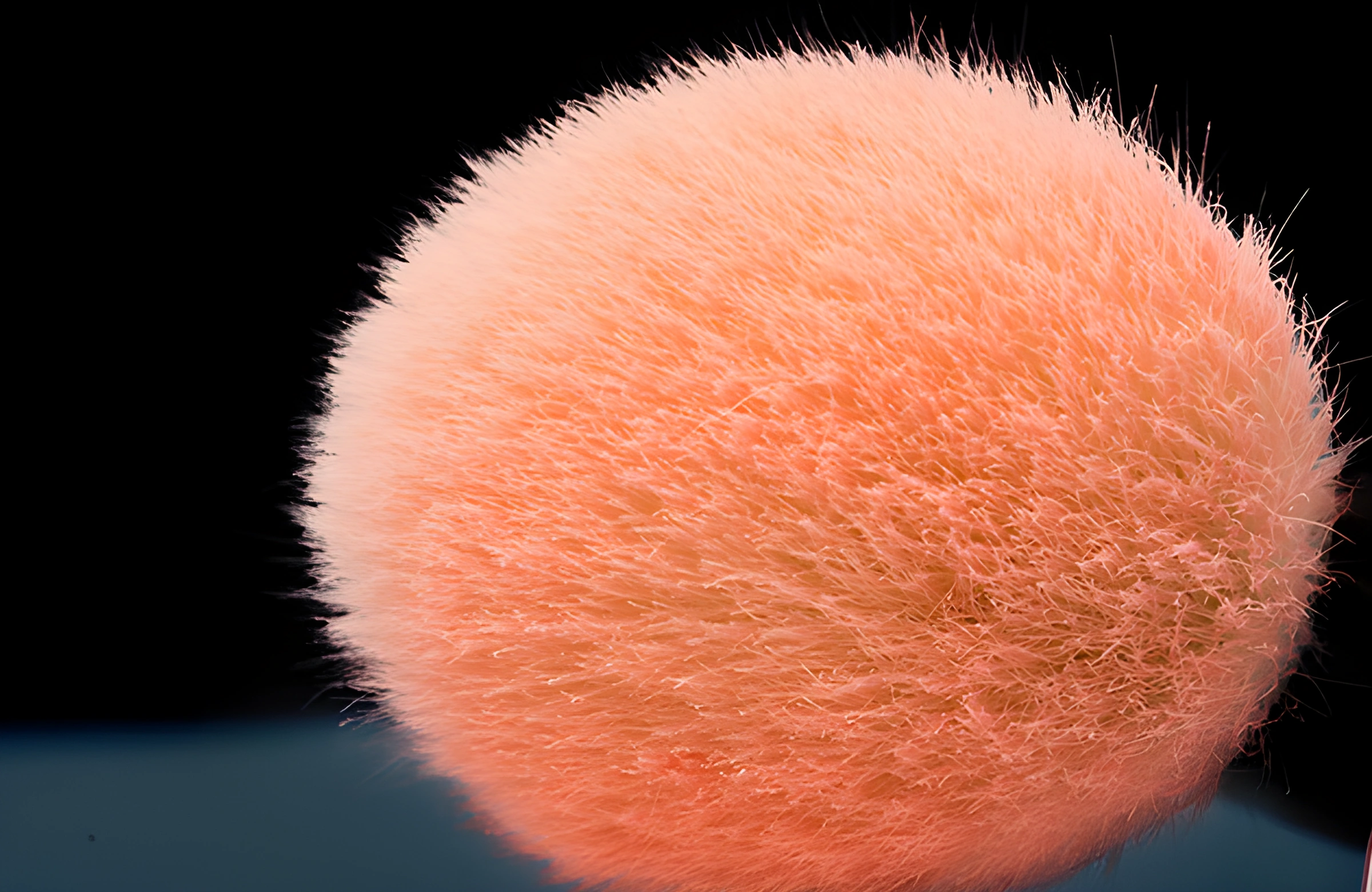 Macro view of powder-loaded White Feather natural fibres